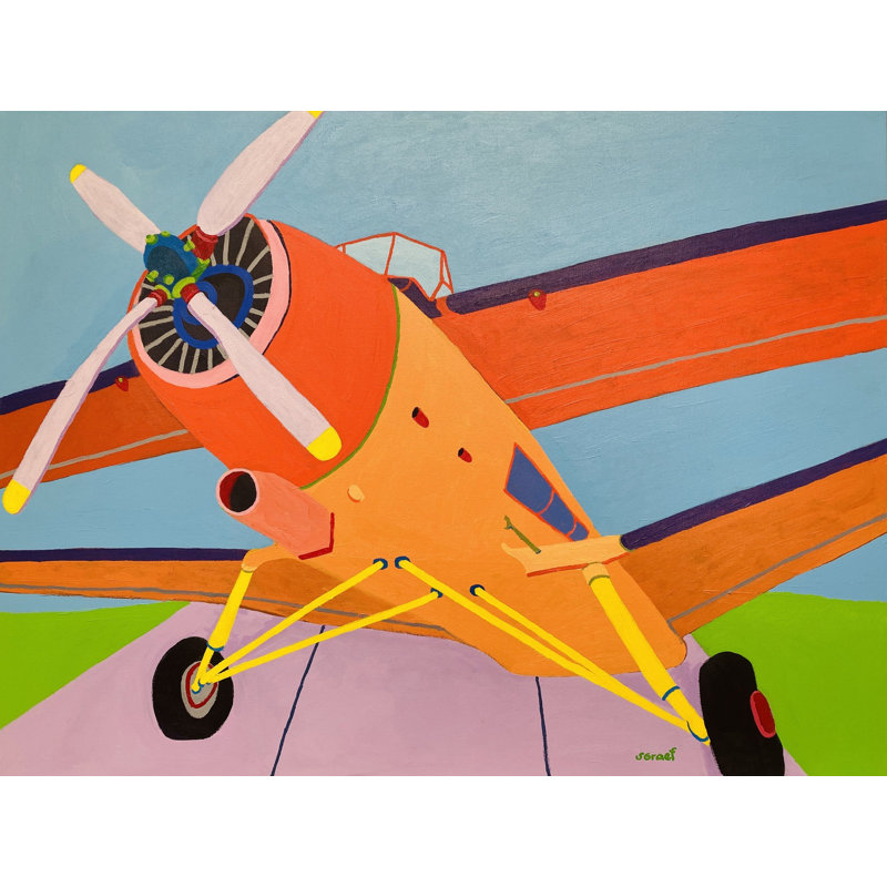 At The Airfield Print by Sue Graef, Black Framed Canvas, 25" H x 33" W