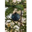 Ball Ornament Set of 12