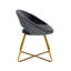 Colmar Velvet Accent Chair with Metal Legs-221319907