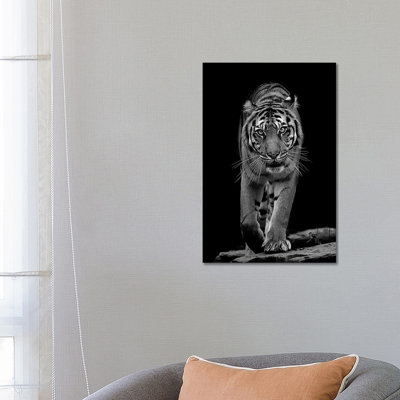 Whiskers In Black And White by David Whelan - Wrapped Canvas Gallery-Wrapped Canvas Giclée