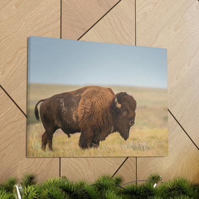 No Frame Print on Canvas