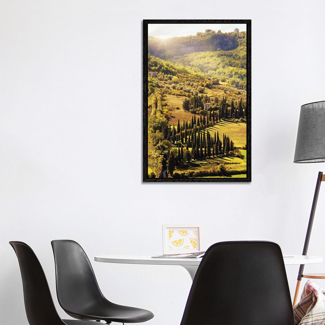 Countryside In Tuscany Italy With Cyprus Trees von Susan Richey - Gallery-Wrapped Canvas Giclée on Canvas