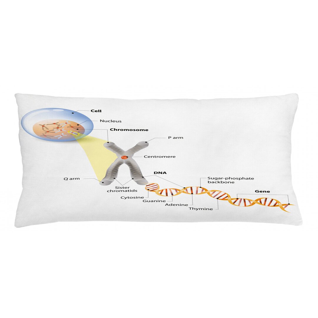 Kissenbezug, DNA Gene Genom, Lehrreich, Mehrfarbig