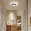 Modern Ellipse LED Flush Mount