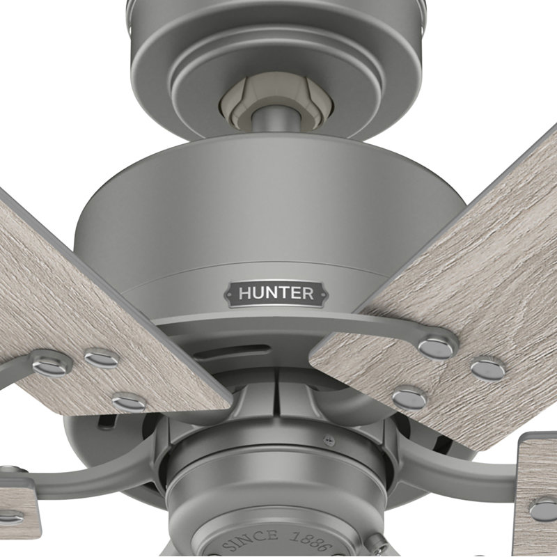 Gilrock 52" Matte Silver and Light Brown 6-Blade Ceiling Fan
