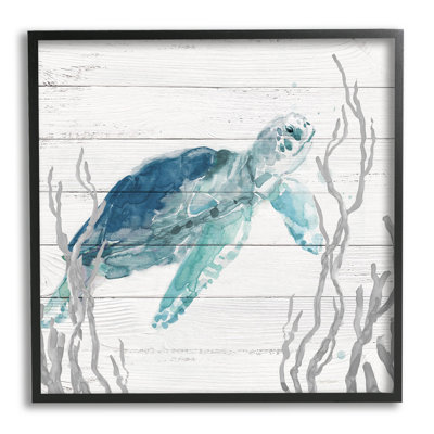 Sea Turtle