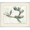 Succulent 1 Painting