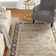 Petronella Viscose Oriental Rug in Grey/Black