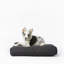 Signature Pillow/Classic Bed-1520193527-1520193524