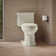 Kathryn™ 1.28 GPF Water Efficient Elongated One-Piece toilet (Seat Included)