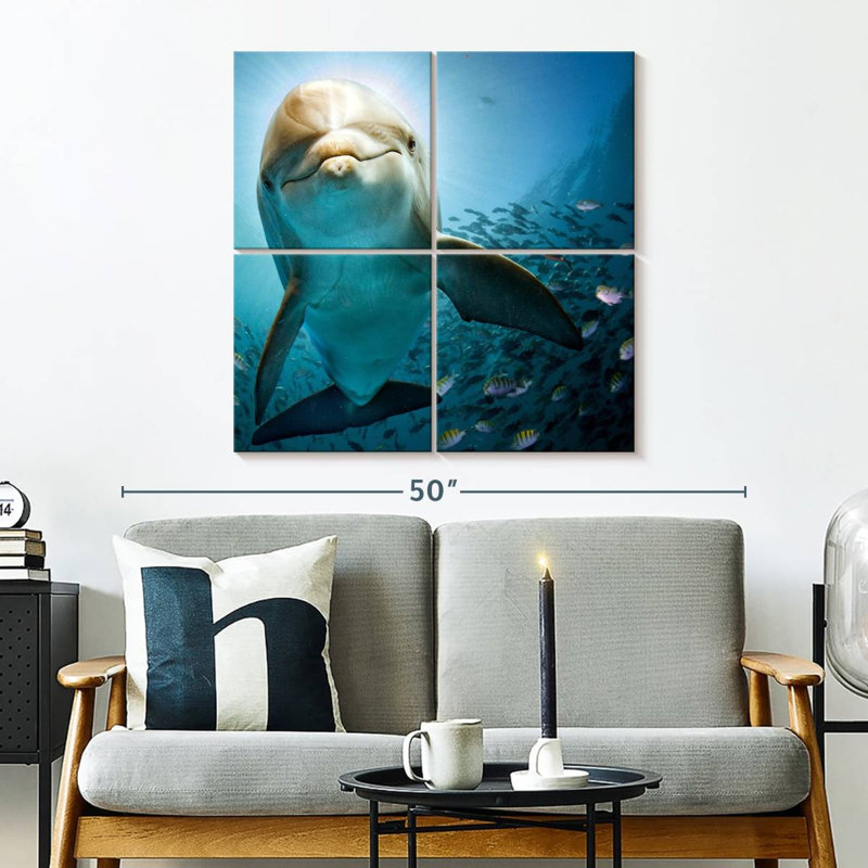 Brampt Curious Dolphin, 32'' H x 32'' W