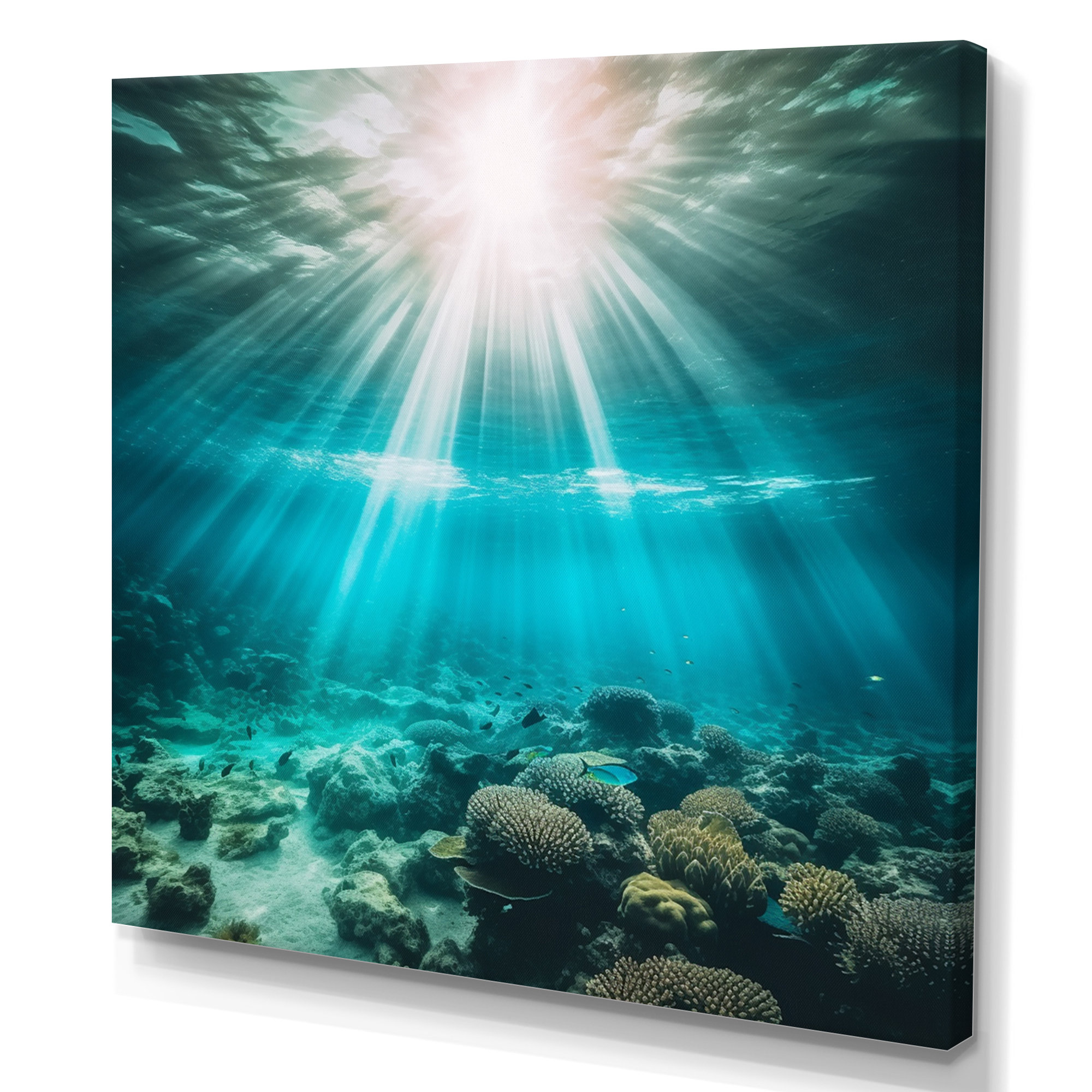 Three Fish Swimming Underwater Fine Art Cool Fish Poster Aquatic Wall Decor  Fish Pictures Wall Art Underwater Picture of Fish for Wall Wildlife Reef  Poster Black Wood Framed Art Poster 20x14 