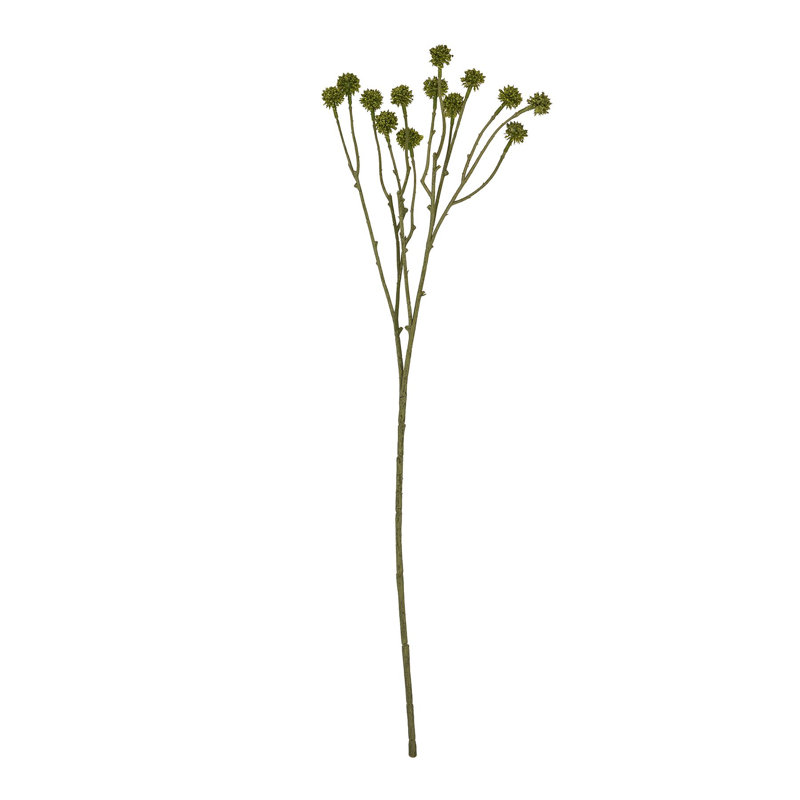 Anastasija Arrangement