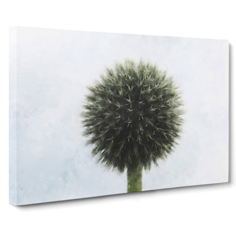 Thistle Flower Vol.3 - Wrapped Canvas Print, 40cm H x 60cm W x 3cm D