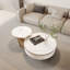 Jakori Pedestal Coffee Table with Storage