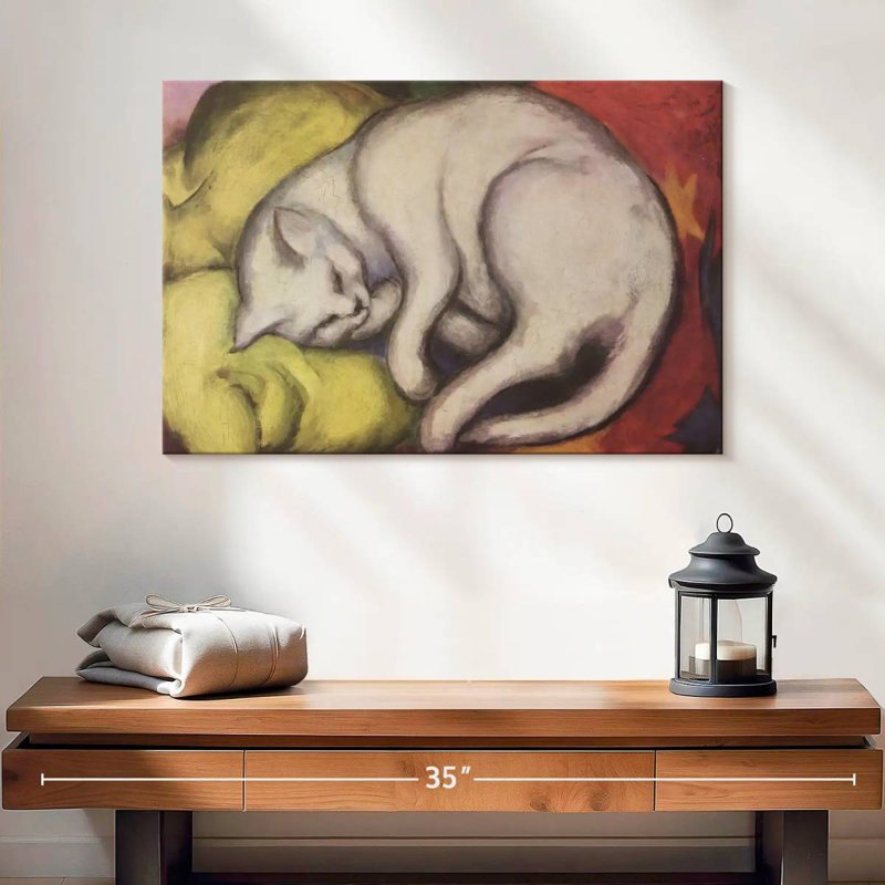 Brampt, le chat blanc