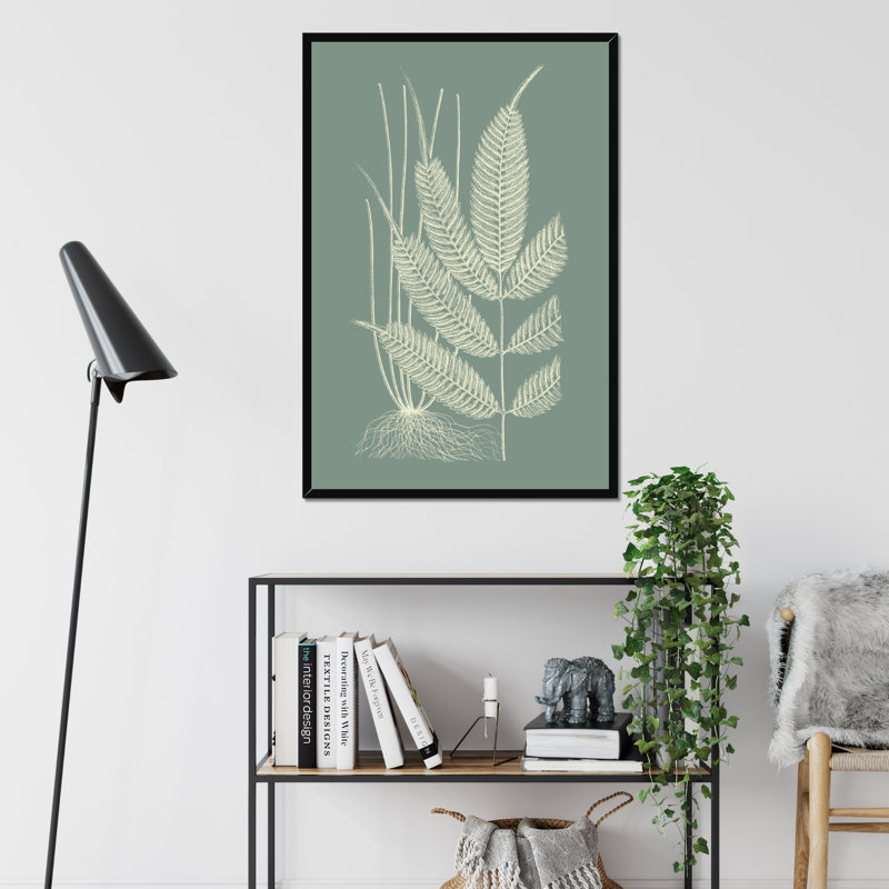 Ferns on Sage II by Vision Studio - Wrapped Canvas Painting Print, Black Framed Paper Print, 50cm H x 34cm W