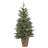 Potted 4' Pre-Lit Pine Tree