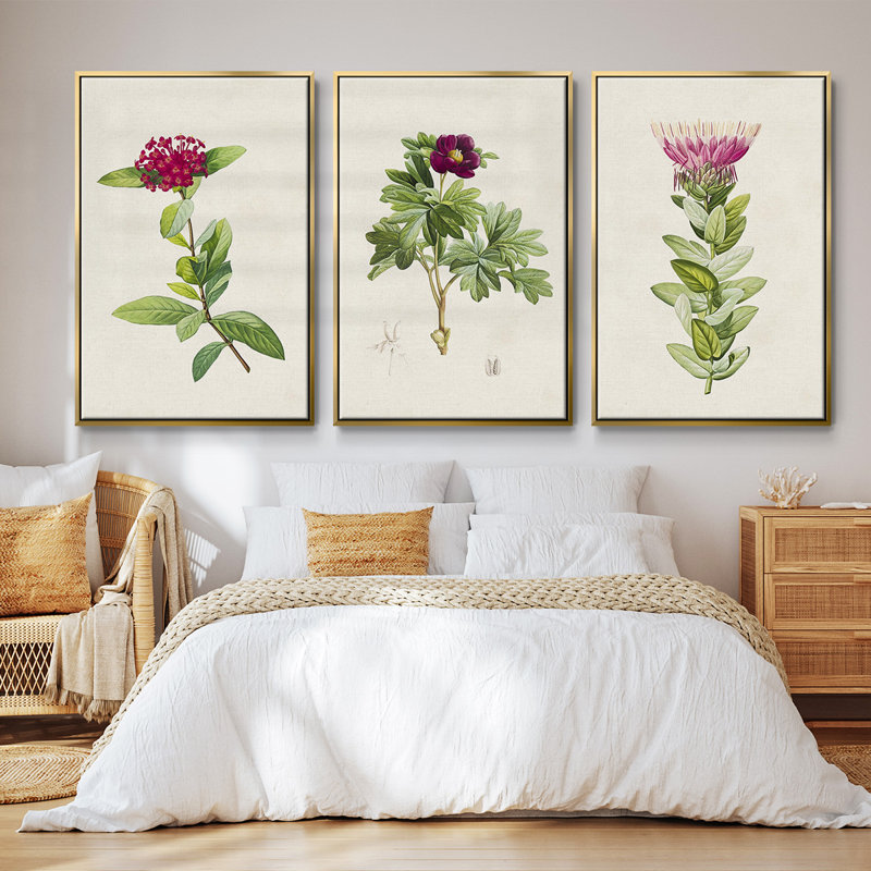 «Pretty Pink Botanicals II», ensemble de 3 toiles encadrées, Or, H 27 po x l 54 po