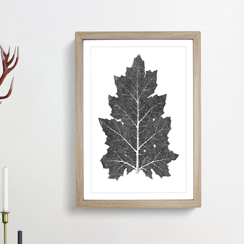 Illustration of a Leaf by Owen Jones - Picture Frame Drawing Print, 76cm H x 50cm W x 2cm D, Oak