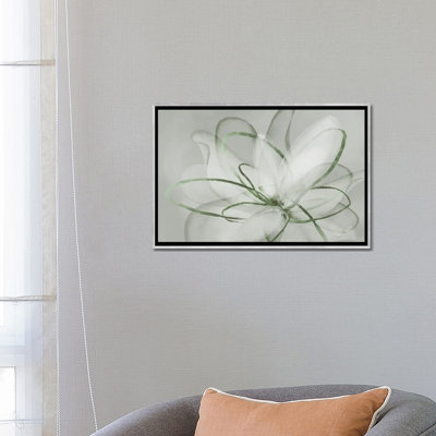 Transparent Beauty III - Sage 6 Pcs.
