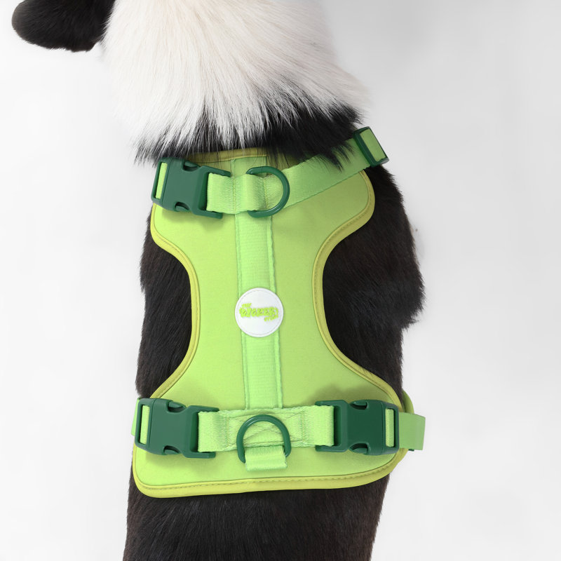Harnais pour animal de compagnie Arlo, Vert clair, Grand