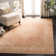 McManus Oriental Hand Woven Area Rug
