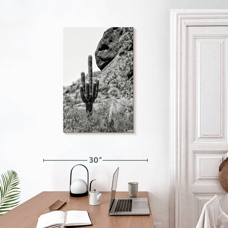 Cactus Harnek Carnegiea Gigantea, H 30 po x l 20 po