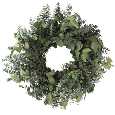 Handcrafted Preserved Eucalyptus Real Greenery 20'' Wreath