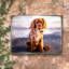 Bloc de bois pour petit chien Gholston-76966967