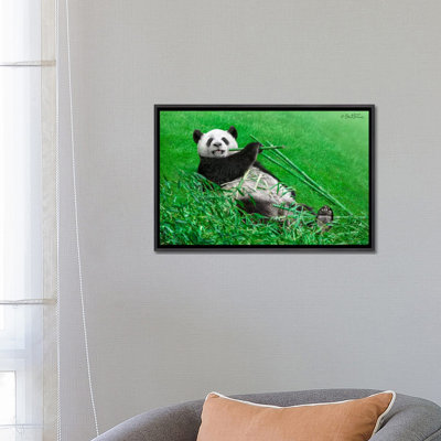 " Funny Panda " by Ben Heine