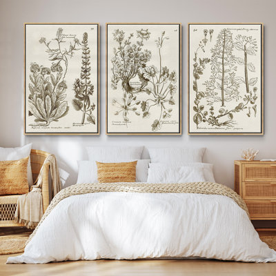 «Sepia Botanical Journal IV», ensemble de 3 reproductions de photos sur toile