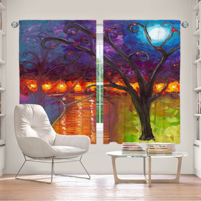Jeneal Room Darkening Curtain Pair