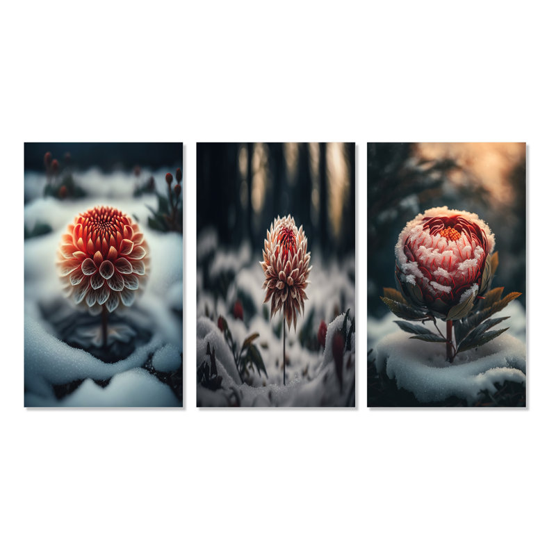 «A Blooming Red Dahlia Flower In Winter», 3 pièces sur toile, Toile tendue, H 40 po x l 60 po