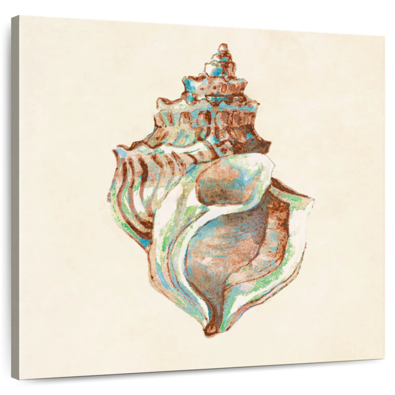 Aletra Coastal Teal Seashell I, 33" H x 33" W