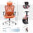 Ashendon Ergonomic Mesh Office Chair with Adjustable Lumbar Support and Padded Armrests for 300lbs-1142399076