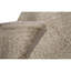 Area Rug in Beige