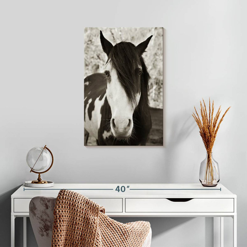 Brampt Pale Eyed Stallion, 24" H x 16" W