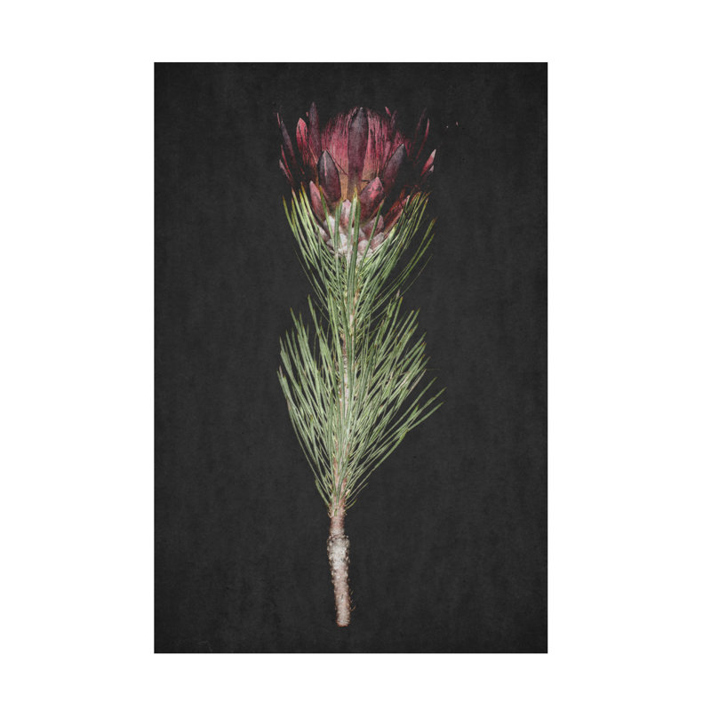 Protea sur toile par Clint Print, H 19 po x l 12 po x P 2 po