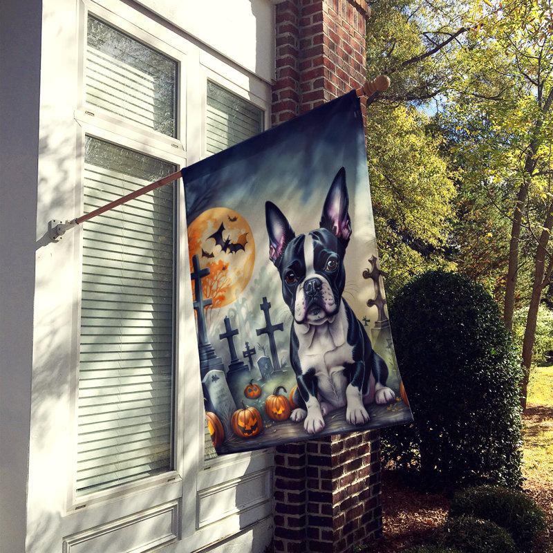 Drapeau de la maison d'Halloween terrier de Boston