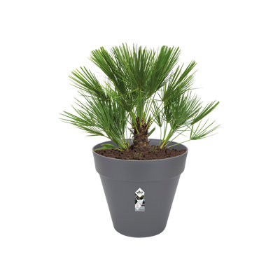 Self-Watering Plastic Outdoor Pot Planter