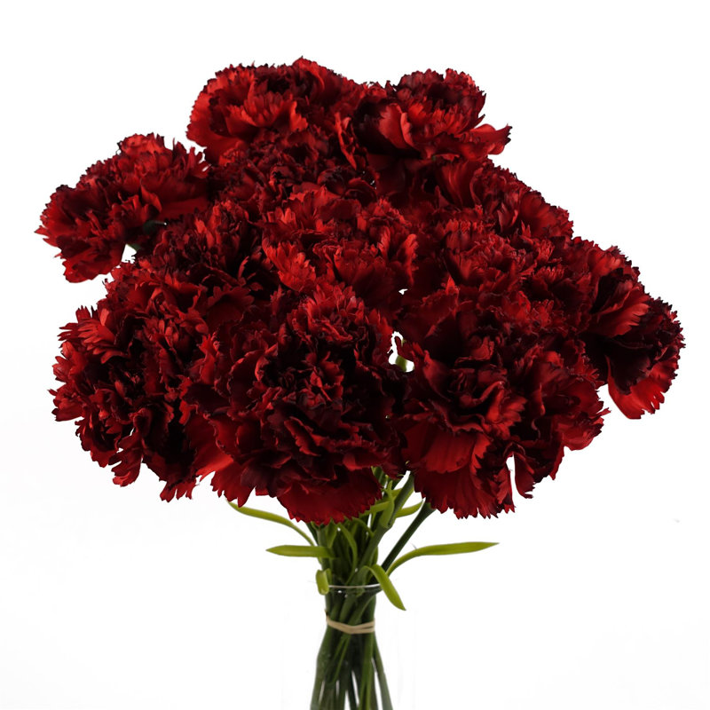 Plastic, Silk Artificial Arrangement, Red