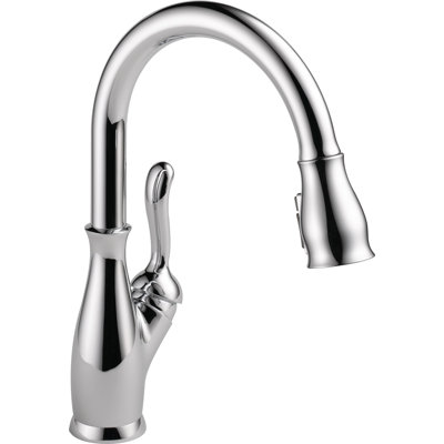 Robinet d'évier de cuisine avec douchette extractible Leland