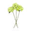 Hydrangea Floral Stem (Set of 3)-1695142972