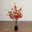 3Ft. Pre-Lit Autumn Eucalyptus Artificial Fall Tree With 80 Warm White LED Lights
