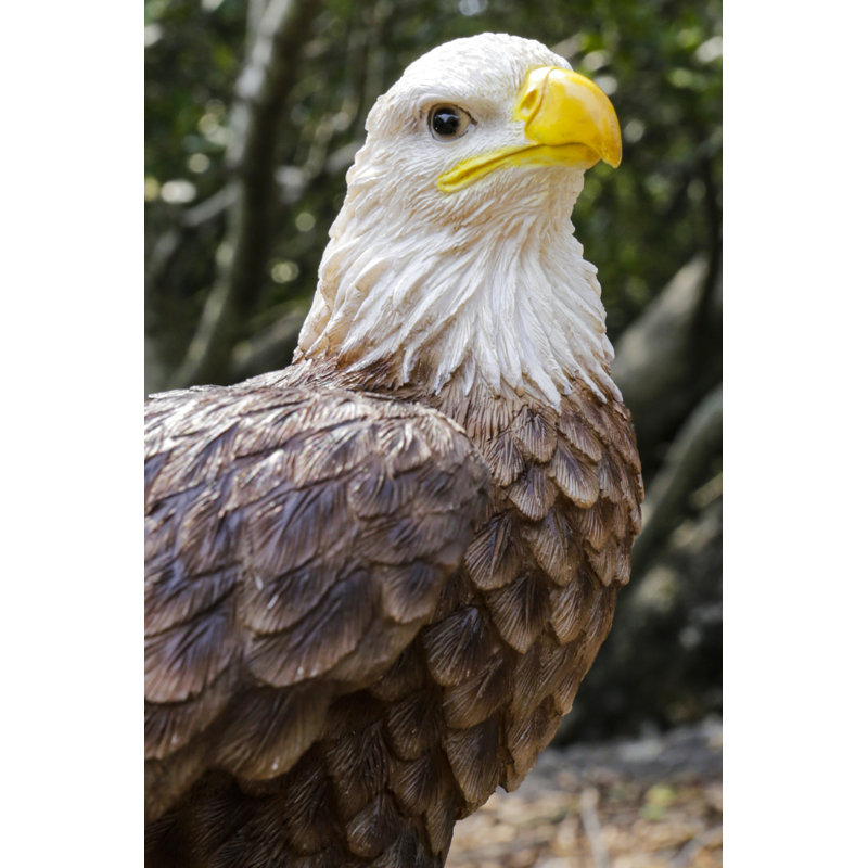 Aigle activé par le mouvement