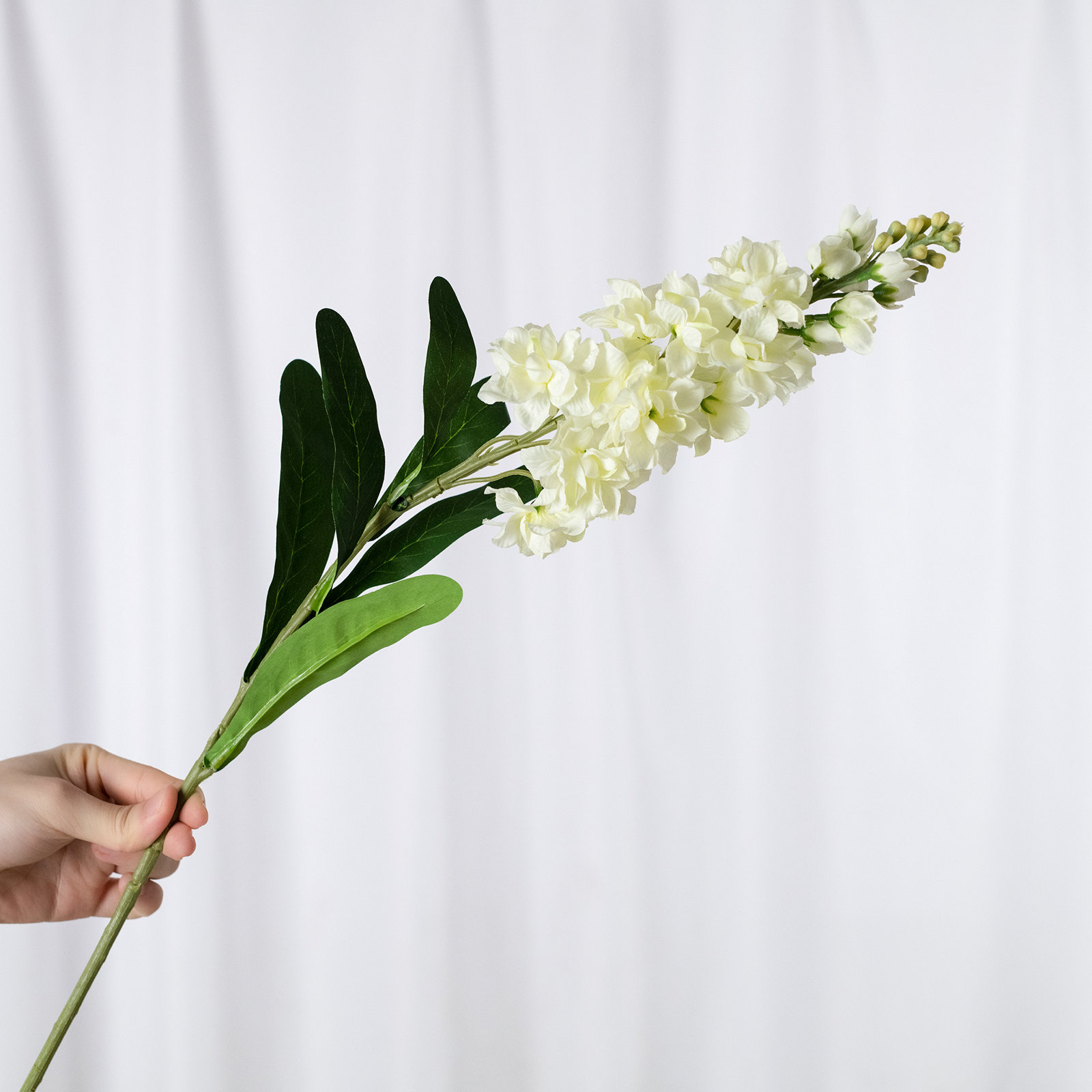 Audet Delphinium Stems, Pink