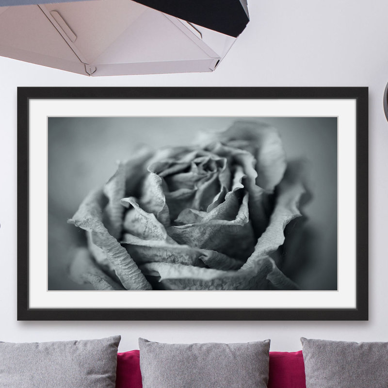 Judy Stalus - Single Picture Frame Print, 41cm H x 61cm W x 3.81cm D