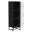 Accent Cabinet