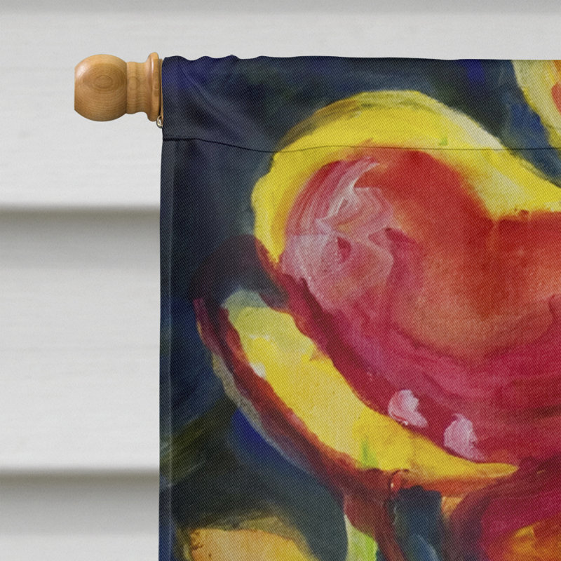Nilles Double Sided 40'' H x 28'' W Polyester House Flag